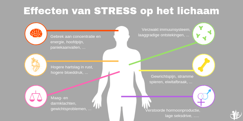effecten van stress op lichaam